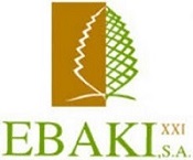 logo Ebaki XXI
