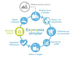 Economía Circular