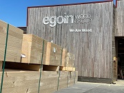 Egoin