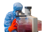 Histocell