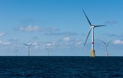 IBERDROLA 