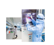 Vivebiotech