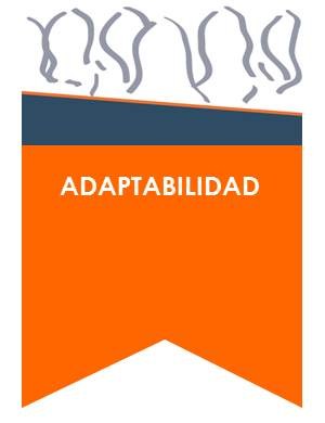 Adaptabilidad