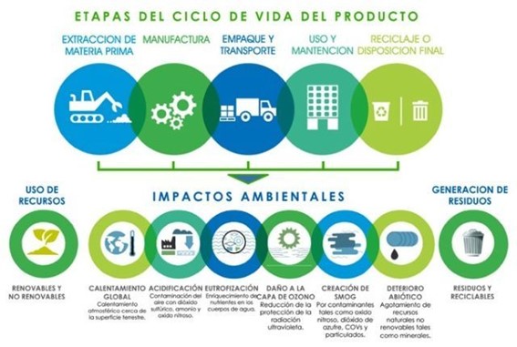 Ecointeligencia