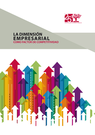 La dimensión empresarial como factor de competitividad